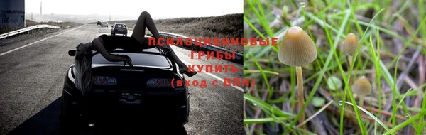 ALPHA-PVP Армянск