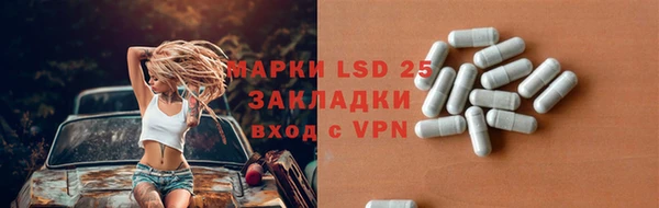 spice Аркадак