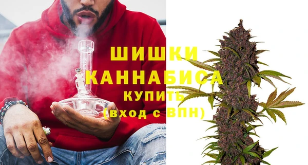 spice Аркадак