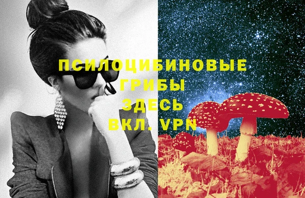 spice Аркадак