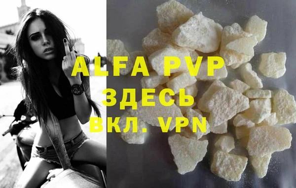 spice Аркадак